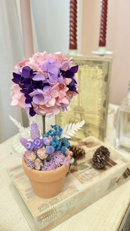 永生花盆栽花藝