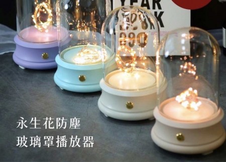 玻璃罩永生花小夜燈可連藍芽放音樂