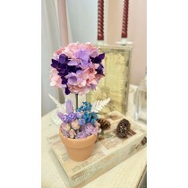 永生花盆栽花藝