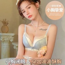 性感無鋼圈蕾絲日系內衣套裝AB(D