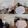 一件美容院級别的貴婦内褲 新品特惠3件一組(顏色隨機)